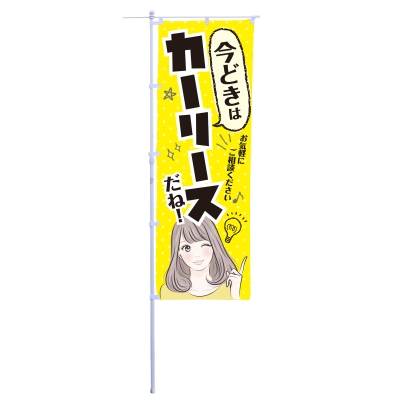 今どきはカーリースだね！